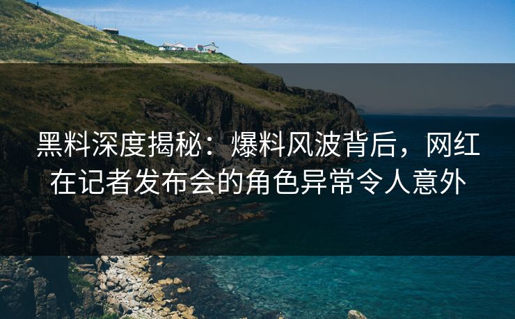 黑料深度揭秘：爆料风波背后，网红在记者发布会的角色异常令人意外