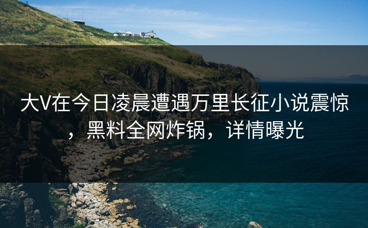 大V在今日凌晨遭遇万里长征小说震惊，黑料全网炸锅，详情曝光