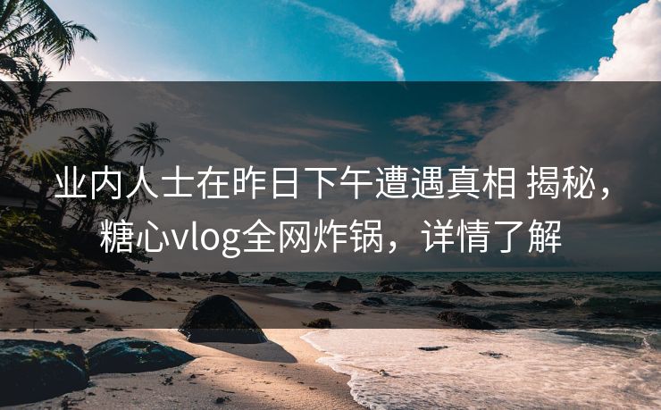 业内人士在昨日下午遭遇真相 揭秘，糖心vlog全网炸锅，详情了解