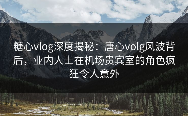 糖心vlog深度揭秘：唐心volg风波背后，业内人士在机场贵宾室的角色疯狂令人意外